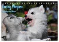 Produktbild: Husky Welpen (Tischkalender 2026 DIN A5 quer), CALVENDO Monatskalender