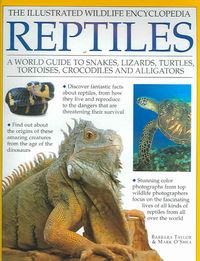 Produktbild: Reptiles