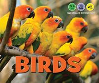 Produktbild: BIRDS