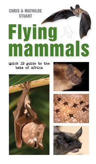 Produktbild: Flying Mammals