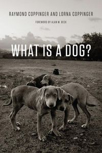 Produktbild: What Is a Dog?