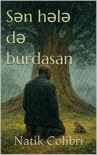 Produktbild: S&iquest;n h&iquest;l&iquest; d&iquest; burdasan