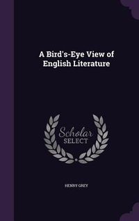 Produktbild: A Bird's-Eye View of English Literature