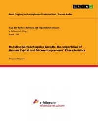 Produktbild: Boosting Microenterprise Growth. The Importance of Human Capital and Microentrepreneurs' Characteristics