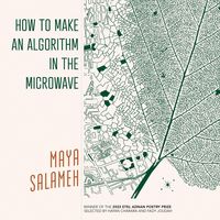 Produktbild: How to Make an Algorithm in the Microwave