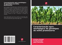 Produktbild: Caracteriza&ccedil;&atilde;o agro-morfol&oacute;gica de gen&oacute;tipos de milho promissores