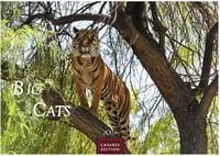 Produktbild: Big Cats Kalender 2027 &ndash; Wandkalender | Fotokalender Tierkalender 24x35cm &ndash; Wundersch&ouml;ner Gro&szlig;katzen-. mit beeindruckenden Fotos von Tiger| L&ouml;wen | Jaguar | Gepard | Luchs | Puma