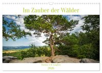 Produktbild: Im Zauber der W&auml;lder (Wandkalender 2026 DIN A3 quer), CALVENDO Monatskalender
