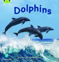 Produktbild: Bug Club Phonics - Phase 5 Unit 13: Dolphins