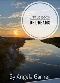 Produktbild: Little Book of Dreams
