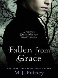 Produktbild: Fallen from Grace