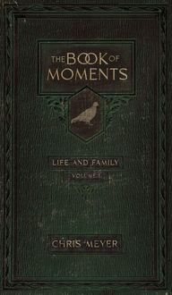 Bild vom Artikel The Book of Moments vol. 1 vom Autor Chris Meyer