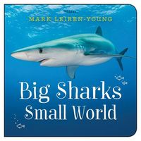 Produktbild: Big Sharks, Small World