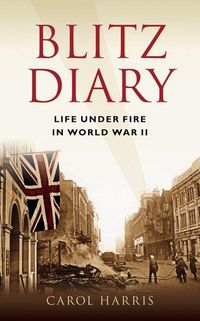 Produktbild: Blitz Diary