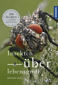 Produktbild: Insekten &uuml;berlebensgro&szlig;