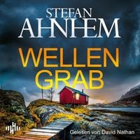 Produktbild: Wellengrab (Ein Fabian-Risk-Krimi 7)