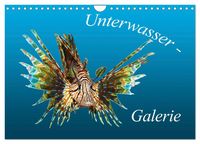 Produktbild: Unterwasser-Galerie (Wandkalender 2026 DIN A4 quer), CALVENDO Monatskalender