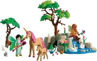 Produktbild: PLAYMOBIL 72067 Ausflug der Feen