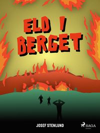 Produktbild: Eld i berget