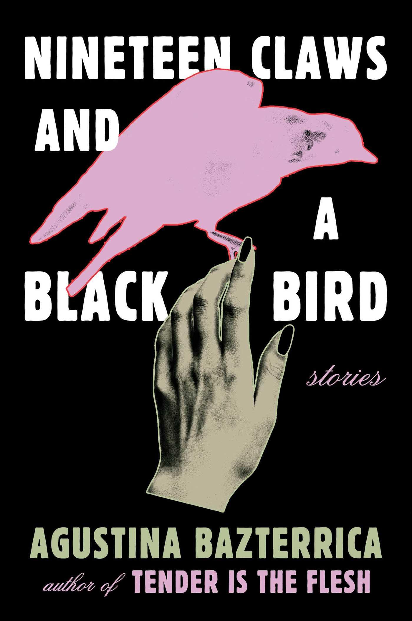 Bild vom Artikel Nineteen Claws and a Black Bird: Stories vom Autor Agustina Bazterrica