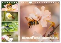 Produktbild: Bienen und Hummeln in Aktion (Wandkalender 2026 DIN A4 quer), CALVENDO Monatskalender