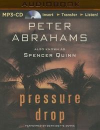 Bild vom Artikel Pressure Drop vom Autor Peter Abrahams