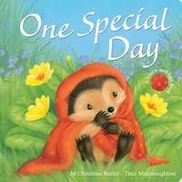 Produktbild: Butler, M: One Special Day
