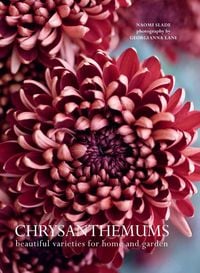Produktbild: Chrysanthemums
