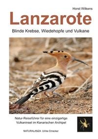Produktbild: Lanzarote - Blinde Krebse, Wiedehopfe und Vulkane