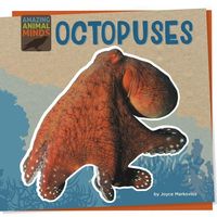 Produktbild: Octopuses