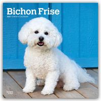 Produktbild: Bichon Fris&eacute; 2027 &ndash; 16-Monatskalender
