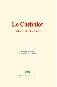 Produktbild: Le Cachalot