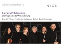Produktbild: Ren' Wohlhauser: Die fragmentierte Wahrnehmung