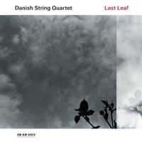 Produktbild: Last Leaf