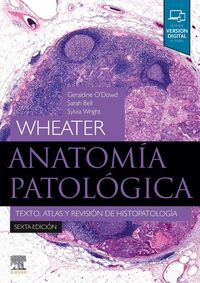 Produktbild: Anatom&iacute;a patol&oacute;gica : texto, atlas y revisi&oacute;n de histopatolog&iacute;a