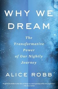 Produktbild: Why We Dream