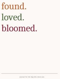 Produktbild: Found.loved.bloomed.