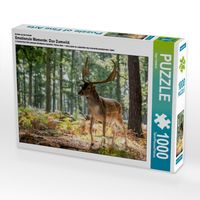 Produktbild: CALVENDO Puzzle Ein Motiv aus dem Kalender Emotionale Momente: Das Damwild. | 1000 Teile Lege-Gr&ouml;&szlig;e 64x48cm Foto-Puzzle f&uuml;r gl&uuml;ckliche Stunden