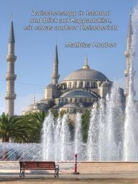 Bild vom Artikel Zwischenstopp in Istanbul und Blick auf Kappadokien vom Autor Matthias Houben