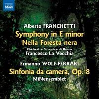 Produktbild: Symphony in E minor