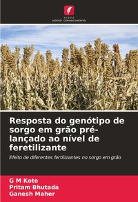 Produktbild: Resposta do gen&oacute;tipo de sorgo em gr&atilde;o pr&eacute;-lan&ccedil;ado ao n&iacute;vel de feretilizante