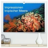 Produktbild: Impressionen tropischer Meere (hochwertiger Premium Wandkalender 2026 DIN A2 quer), Kunstdruck in Hochglanz