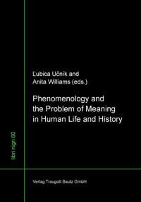 Produktbild: Phenomenology and the Problem of Meaning in Human Life and History