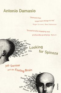 Bild vom Artikel Looking For Spinoza vom Autor Antonio Damasio