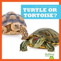 Produktbild: Turtle or Tortoise?
