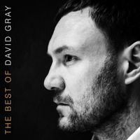 Produktbild: The Best of David Gray