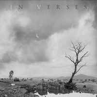 Produktbild: IN VERSES (Gatefold black 2LP)