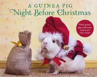 Produktbild: A Guinea Pig Night Before Christmas