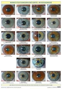 Produktbild: Konstitutionsorientierte Irisdiagnose
