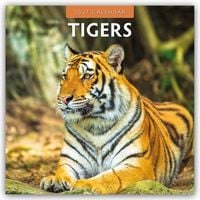 Produktbild: Tigers &ndash; Tiger 2027 &ndash; 16-Monatskalender